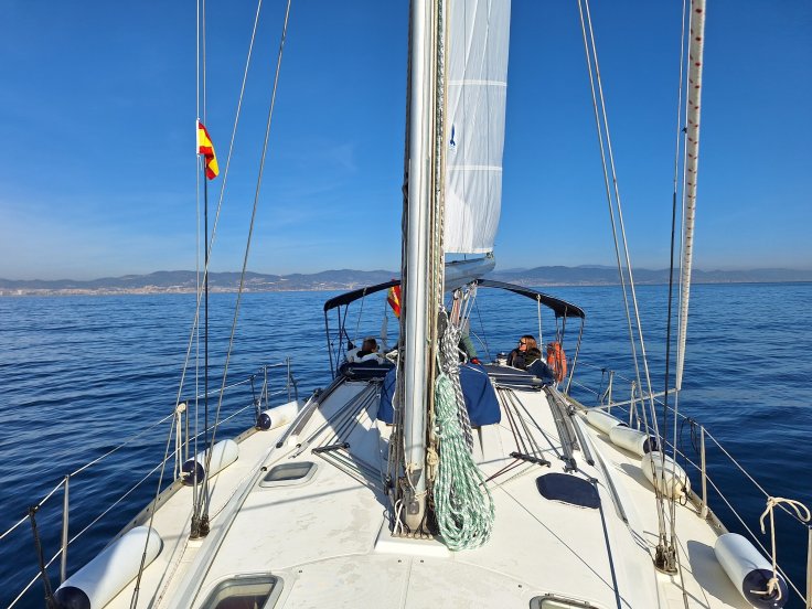 65c203ccbb31f9.62936018