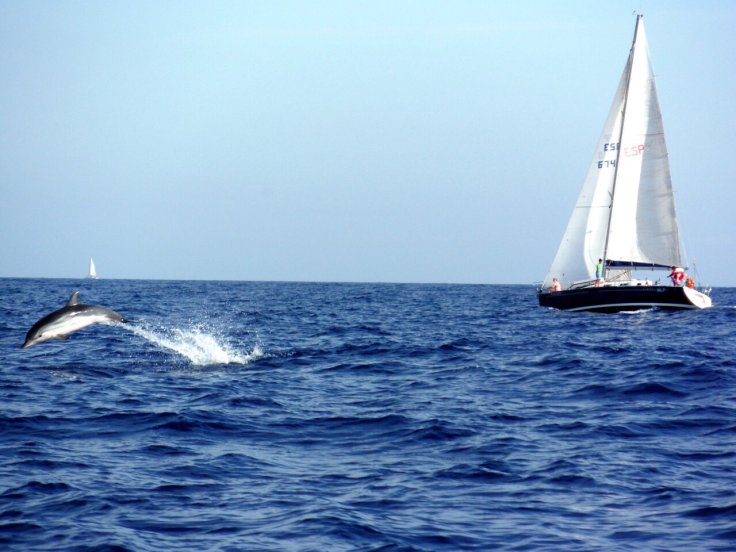 Curso de navegación en Castellón