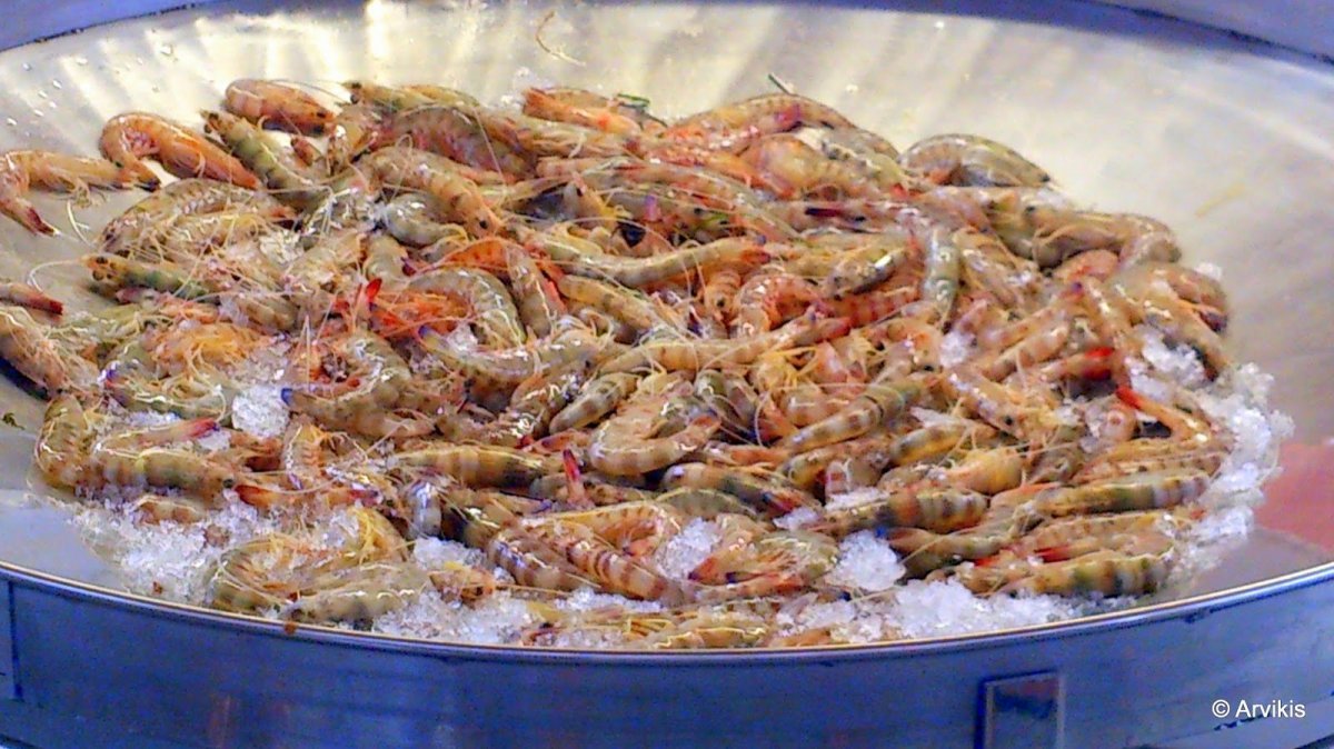 Puerto Deportivo Marina de las Dunas Alicante 3