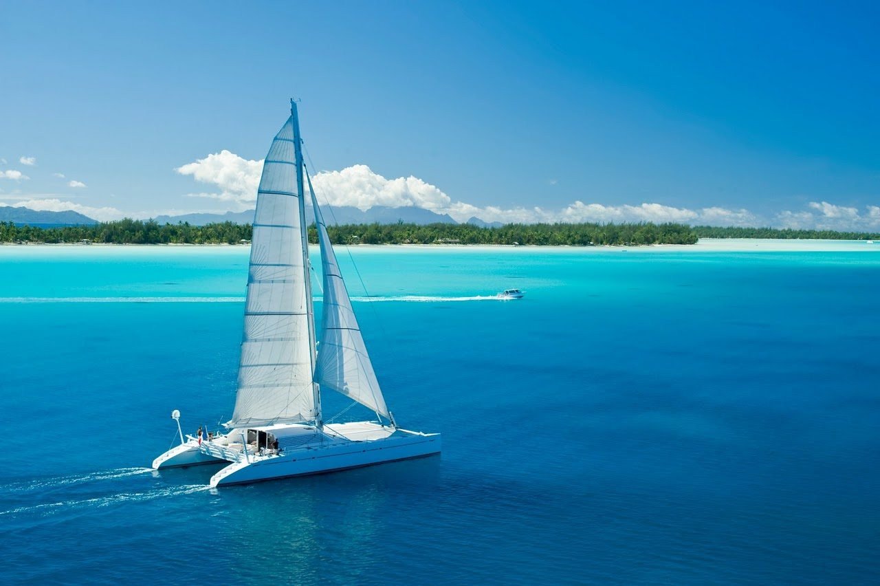 un catamaran en anglais