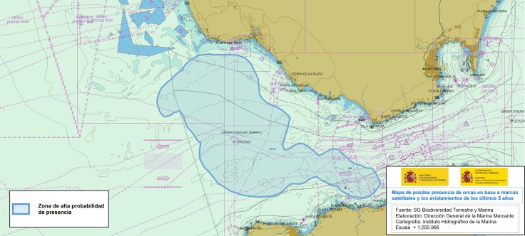 interacciones_orcas_golfo_cadiz_dgmm_escala_10_05.2024