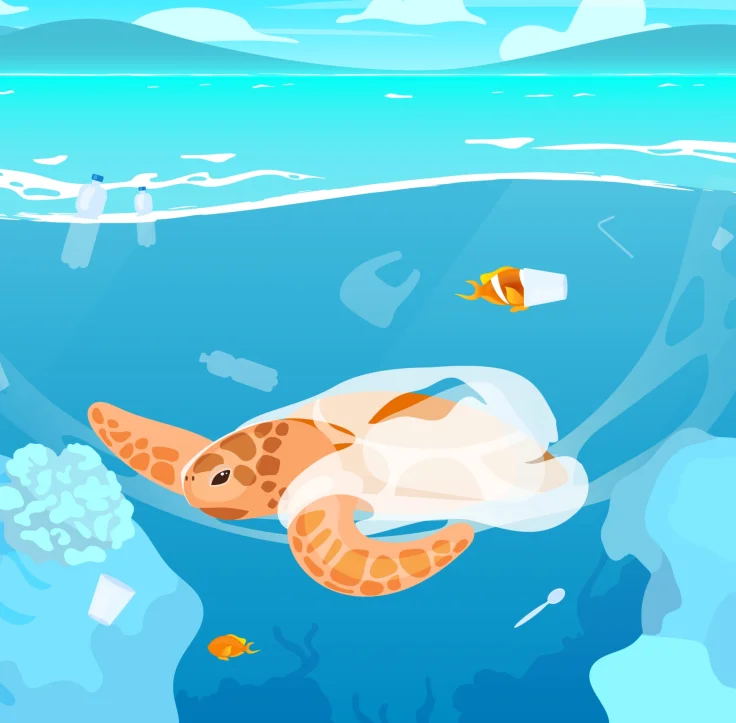 Tortuga plastico atrapàda