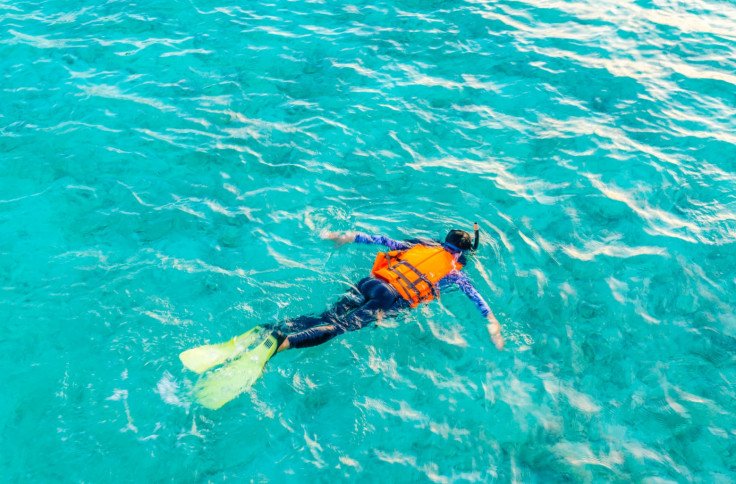 snorkel-