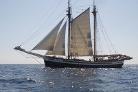 El Maresme acogerá un encuentro de más de veinte barcos centarios