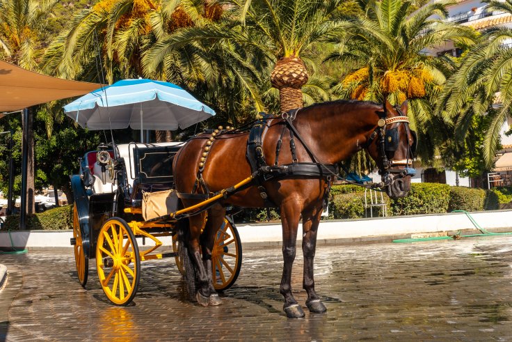 Coche de caballos