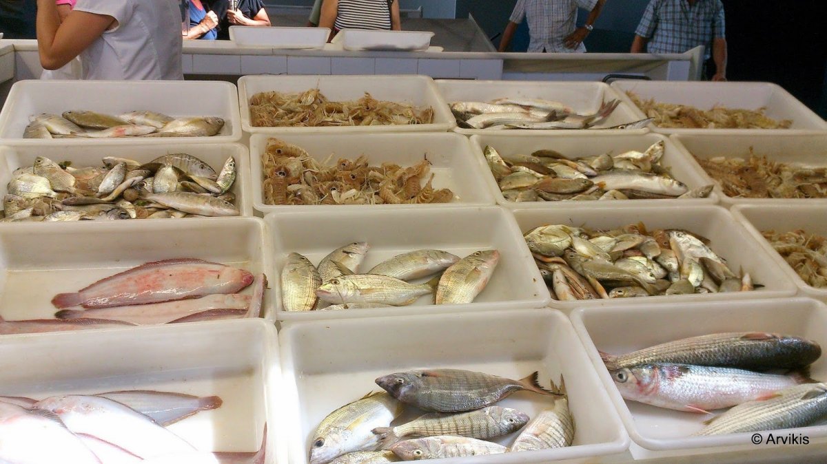 Puerto Deportivo Marina de las Dunas Alicante 4