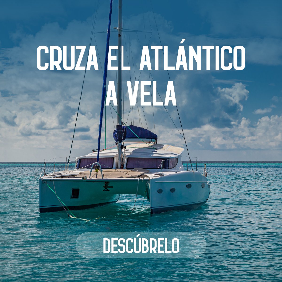 1200x1200 copia