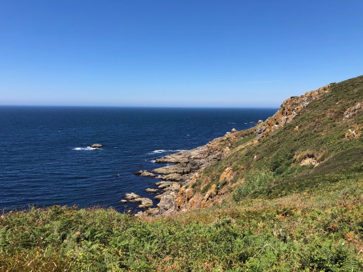 5fade212d78819.41049042