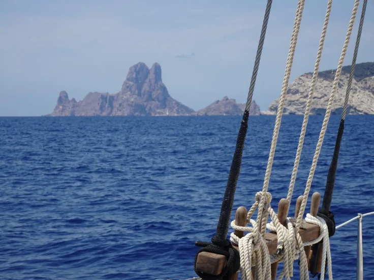 6471f64b3186b9.08788615