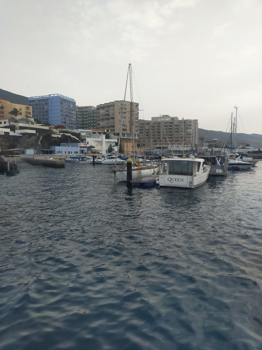 La Galera Santa Cruz de Tenerife 3