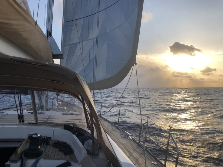 636bf06ec88646.42855465