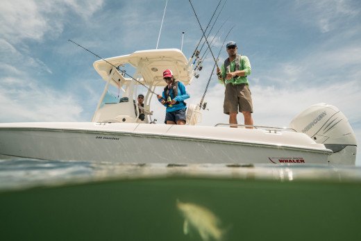 Boston Whaler Dauntless Pro 240 para aficionados a la pesca.