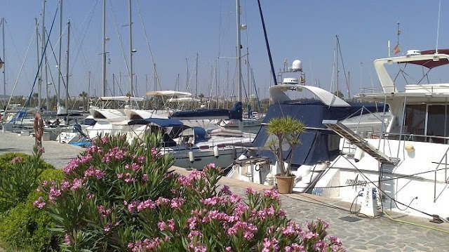 Puerto Deportivo Marina de las Dunas Alicante 2