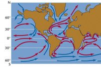 Corrientes marinas: Definición, tipos y causas